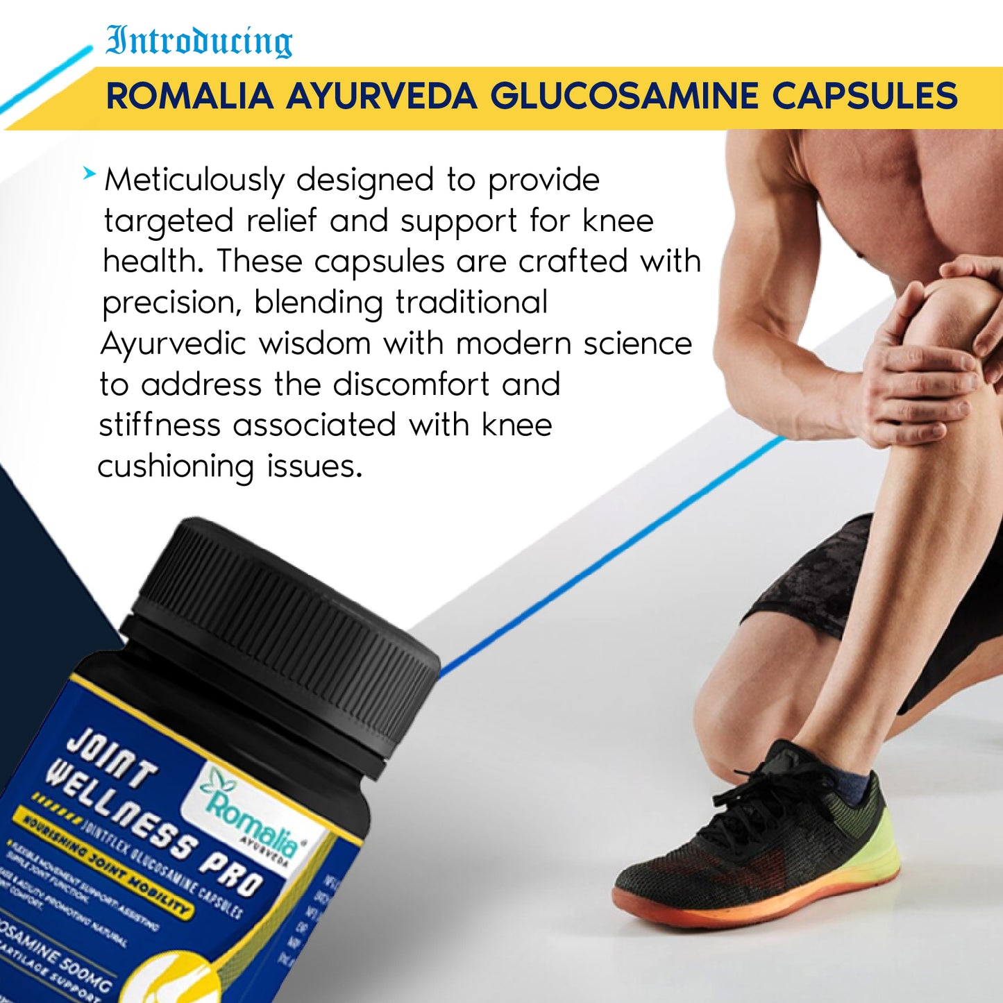 Joint Wellness Glucosamine Capsule