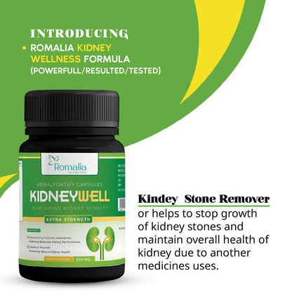 Ayurveda Kidney Wellness Formula