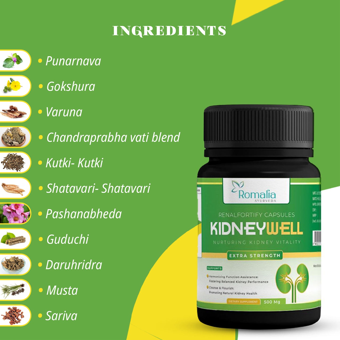 Ayurveda Kidney Wellness Formula