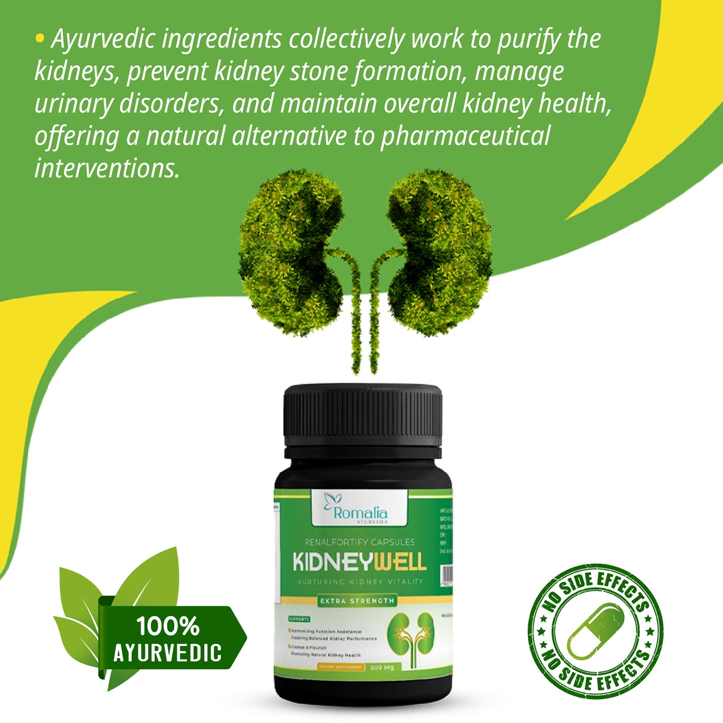 Ayurveda Kidney Wellness Formula