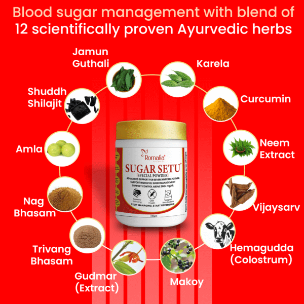 ingredients-sugar-setu-special